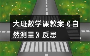 大班数学课教案《自然测量》反思