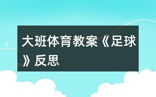 大班体育教案《足球》反思